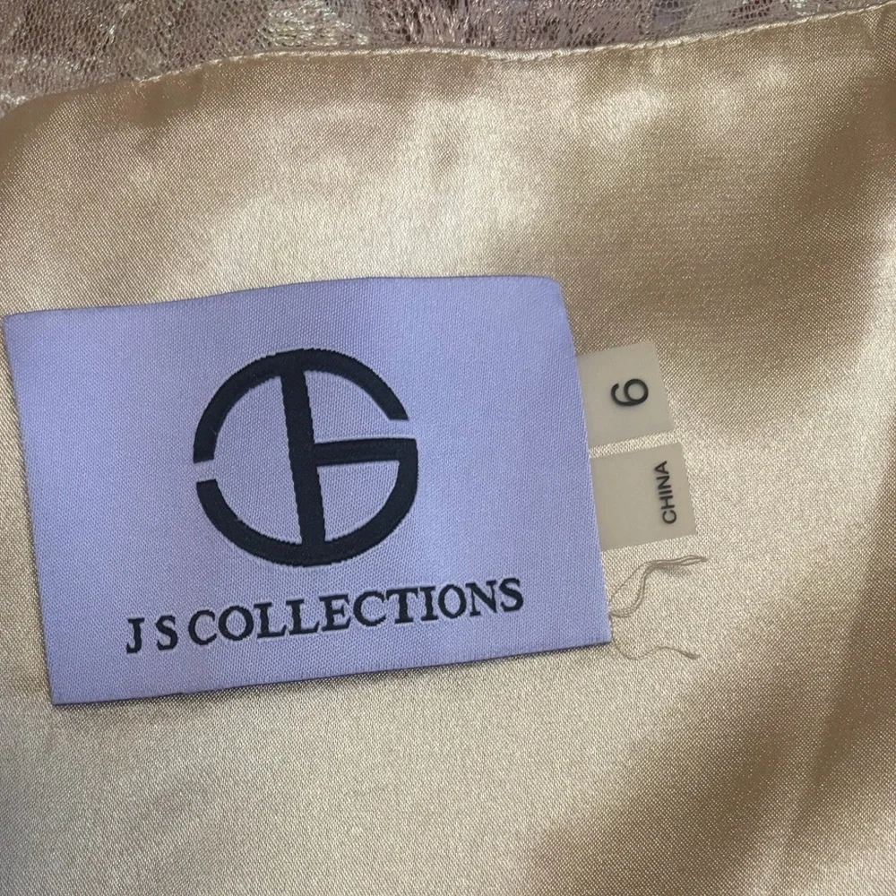 JS Collections Blush Color Lace Gown - Picture 12 of 16